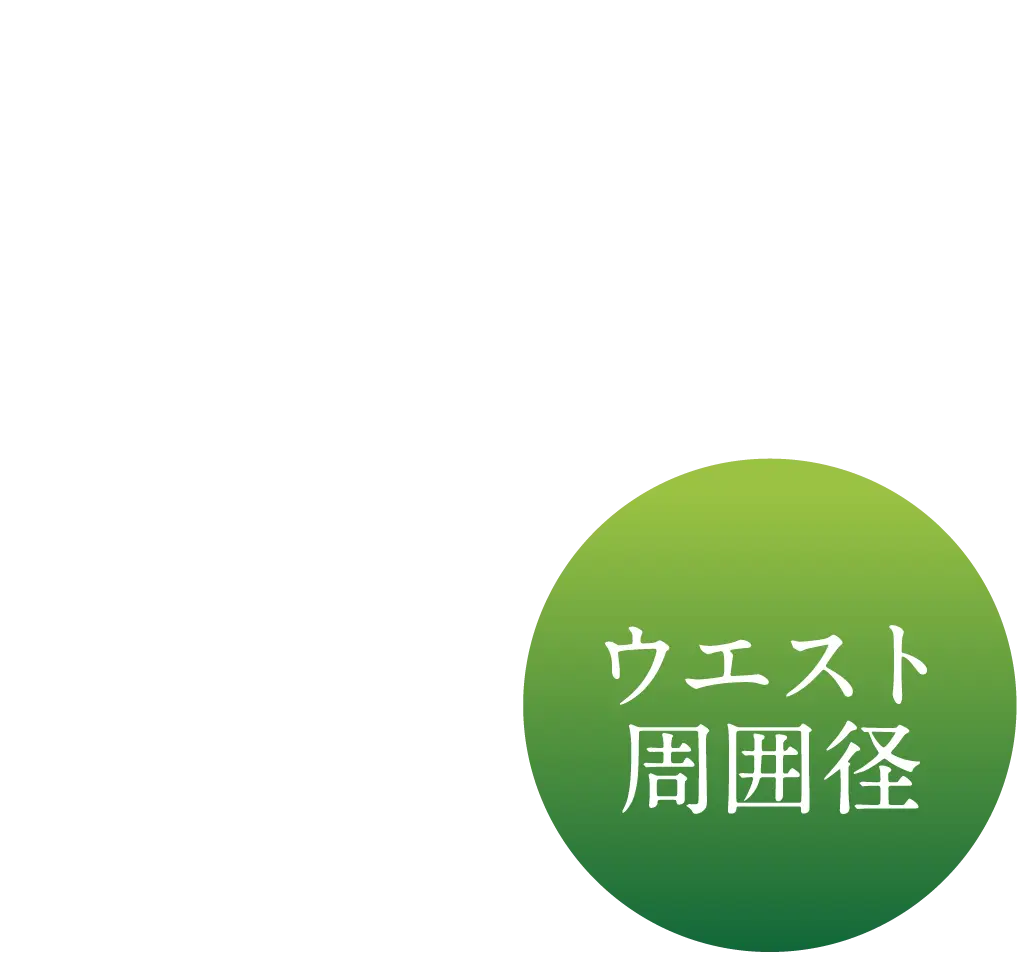 ウエスト周囲径