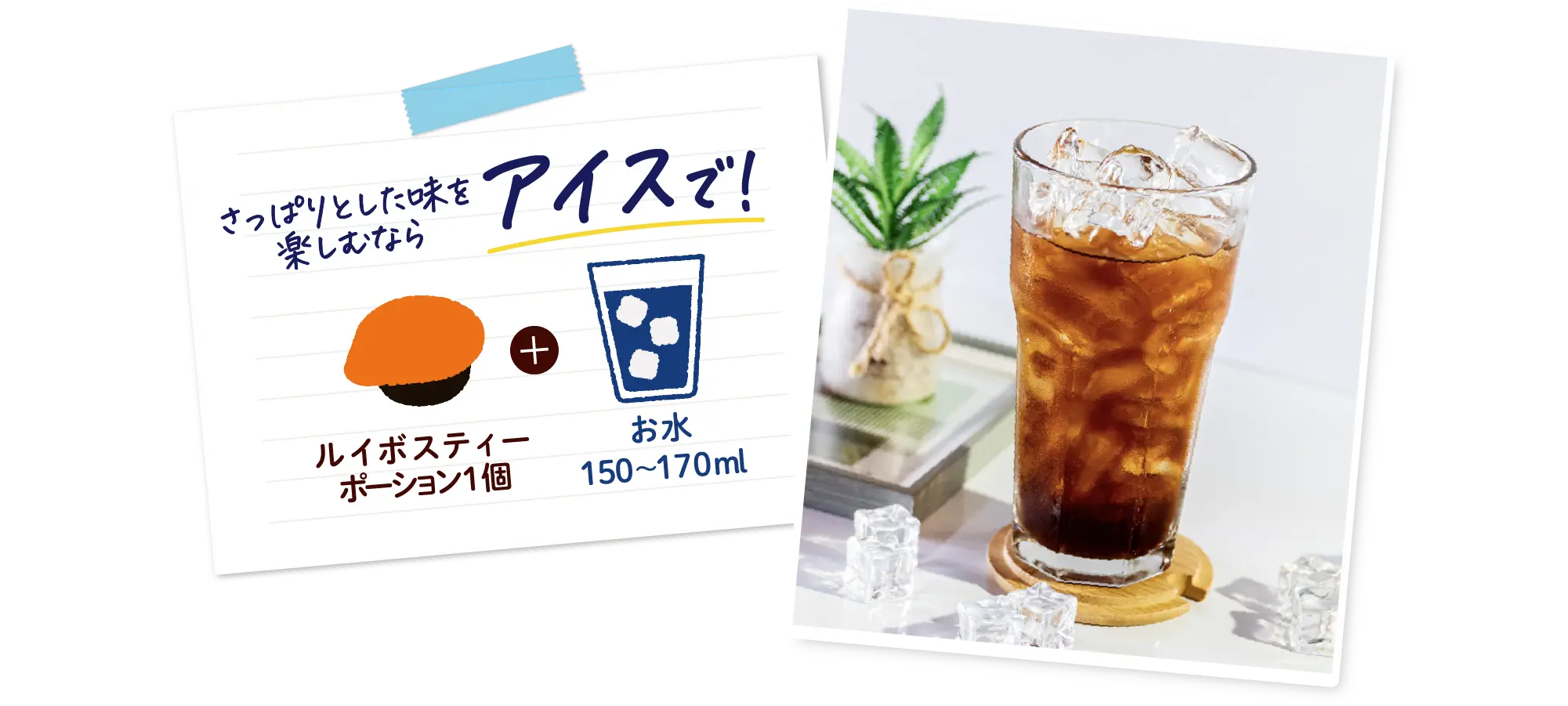 さっぱりとした味を楽しむならアイスで ルイボスティー ポーション1個 + お水 150〜170ml