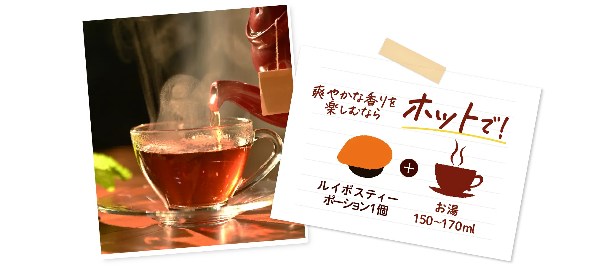 さわやかな香りを楽しむならホットで！ ルイボスティー ポーション1個 + お湯 150〜170ml